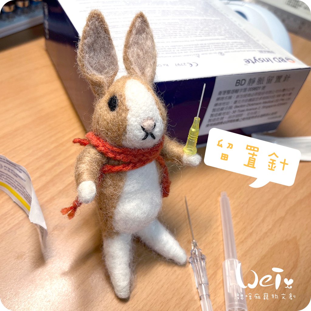 (寵物傷口沖洗用) BD-靜脈留置針 / 軟針 24G 黃色 (純介紹，網路不可販售)