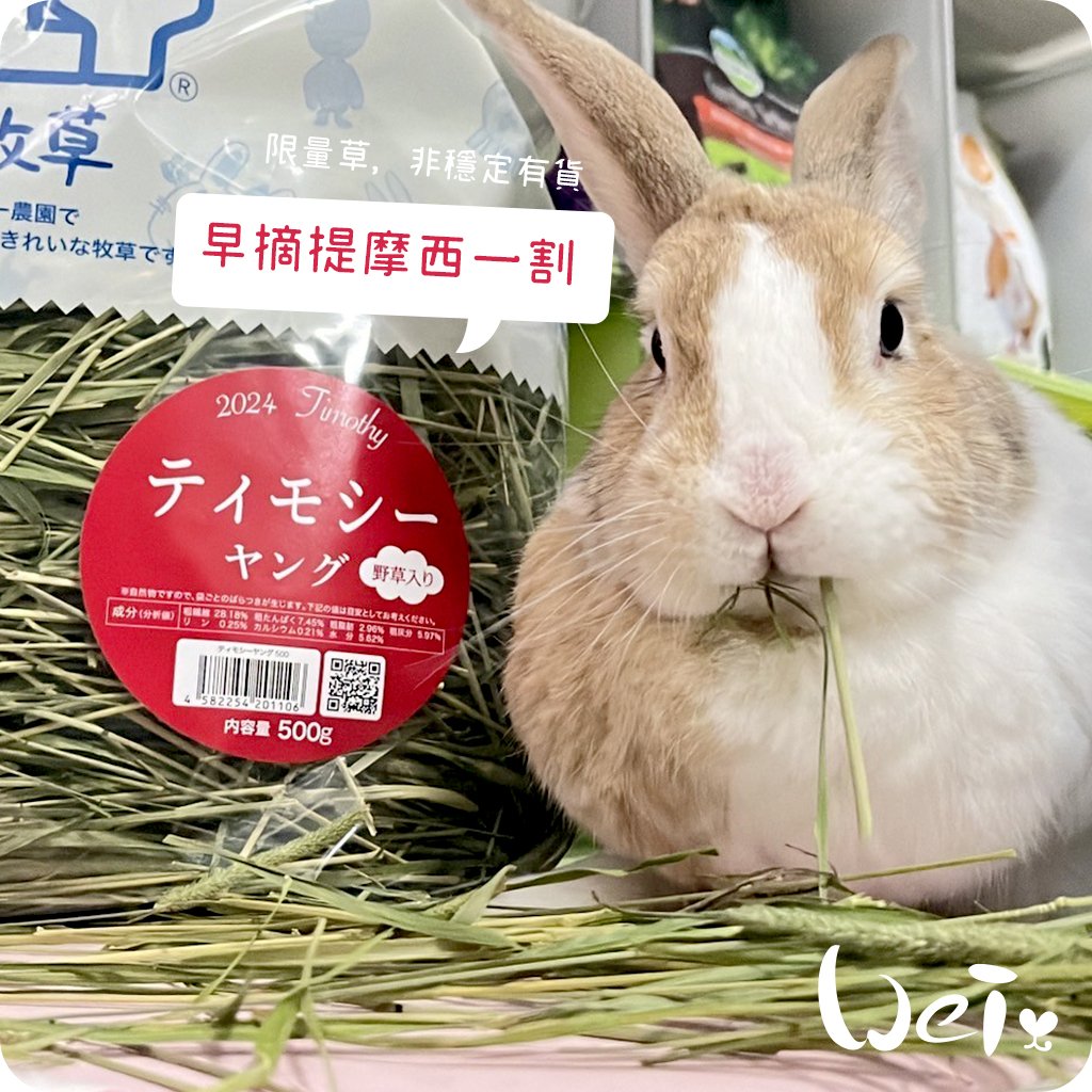 WOOLY高原的早摘提摩西一割(本次貨櫃未到)