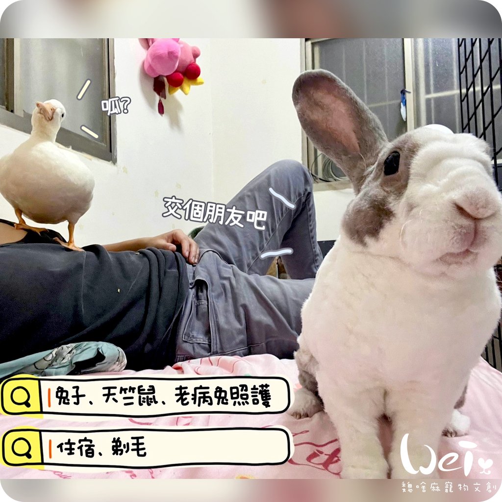 私房剃毛師 - 自強號 (土城)