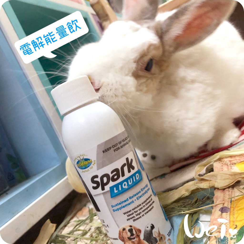 澳洲飛達發VETAFARM 電解能量飲