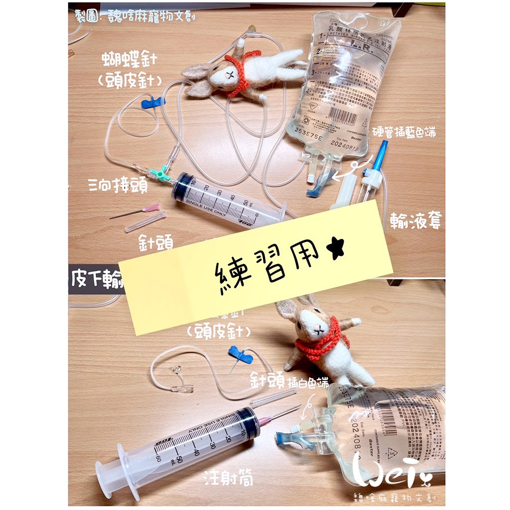 皮下耗材用品練習組(過期拆封瑕疵品)  (網路不可販售)