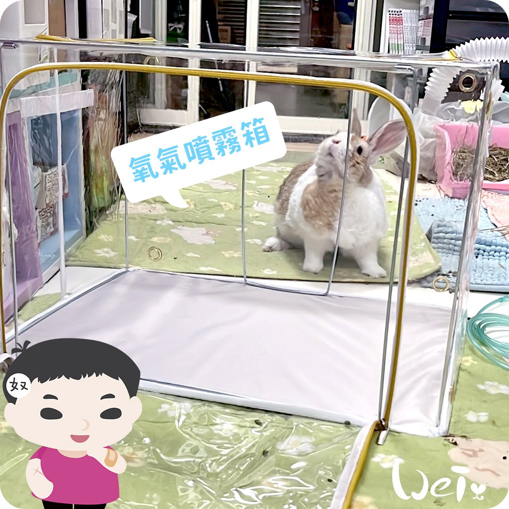 110L折疊全透明寵物氧氣箱-吸氧箱/噴霧箱/霧化箱