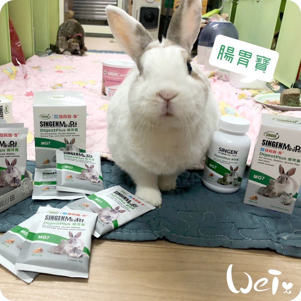 信元發育寶 小寵腸胃寶