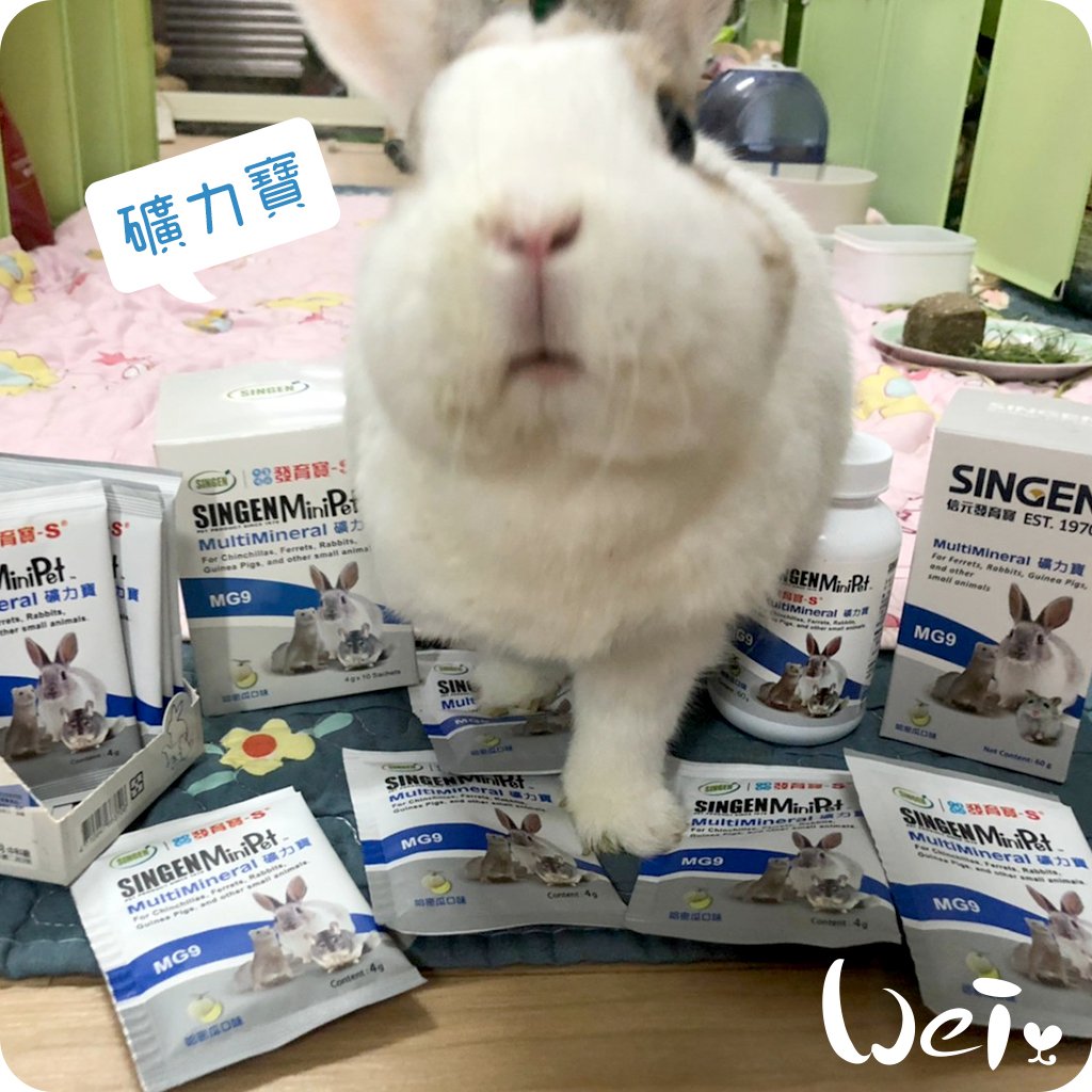 信元發育寶 小寵礦力寶