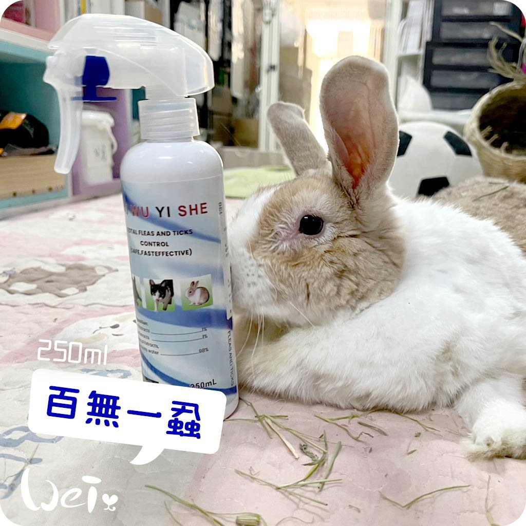 百無一蝨(新包裝)