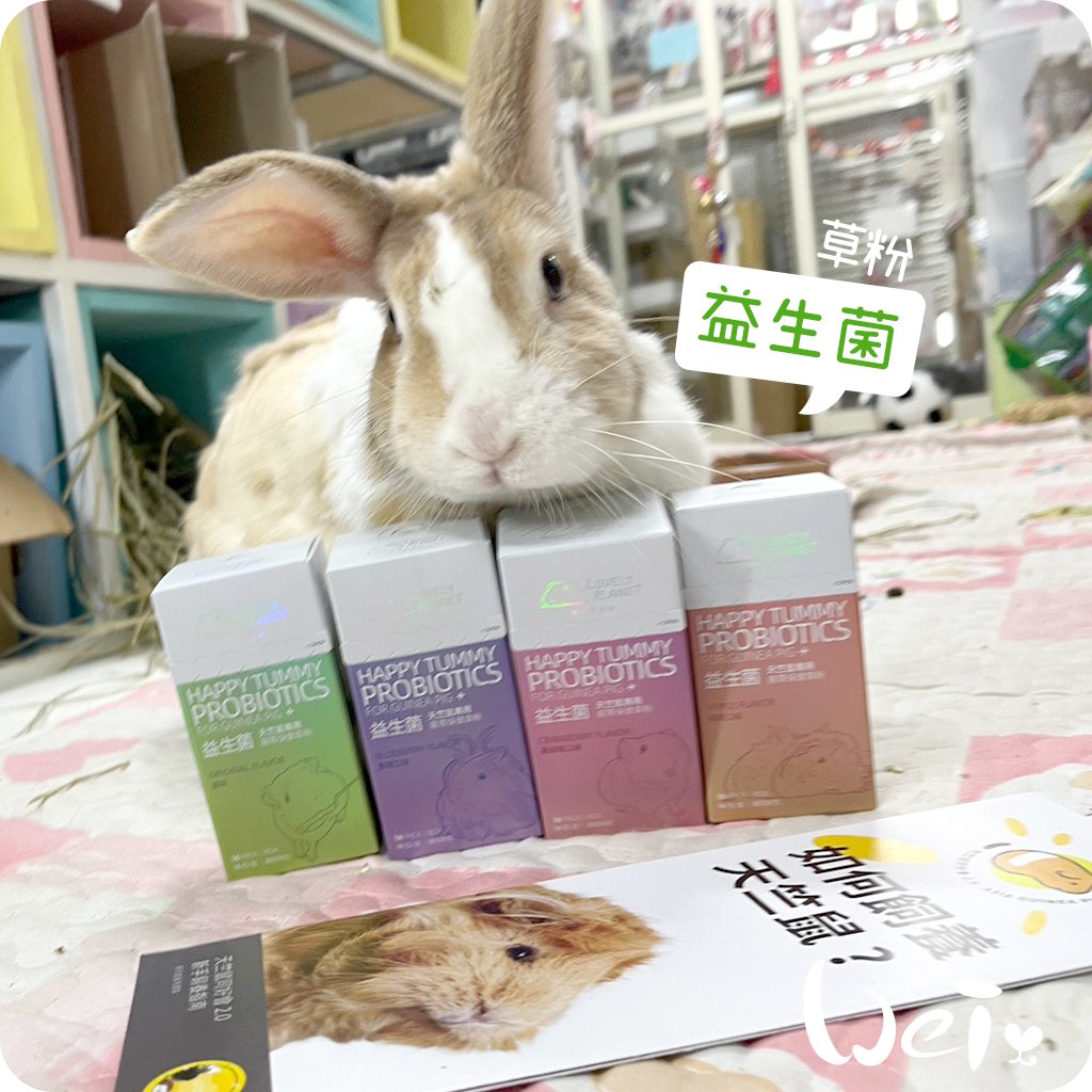 好可愛星球Lovely Planet天竺鼠益生菌 1組/4口味