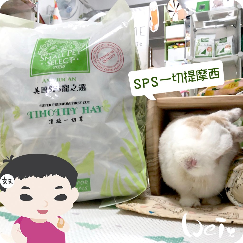 美國SPS寵之選 一切提摩西