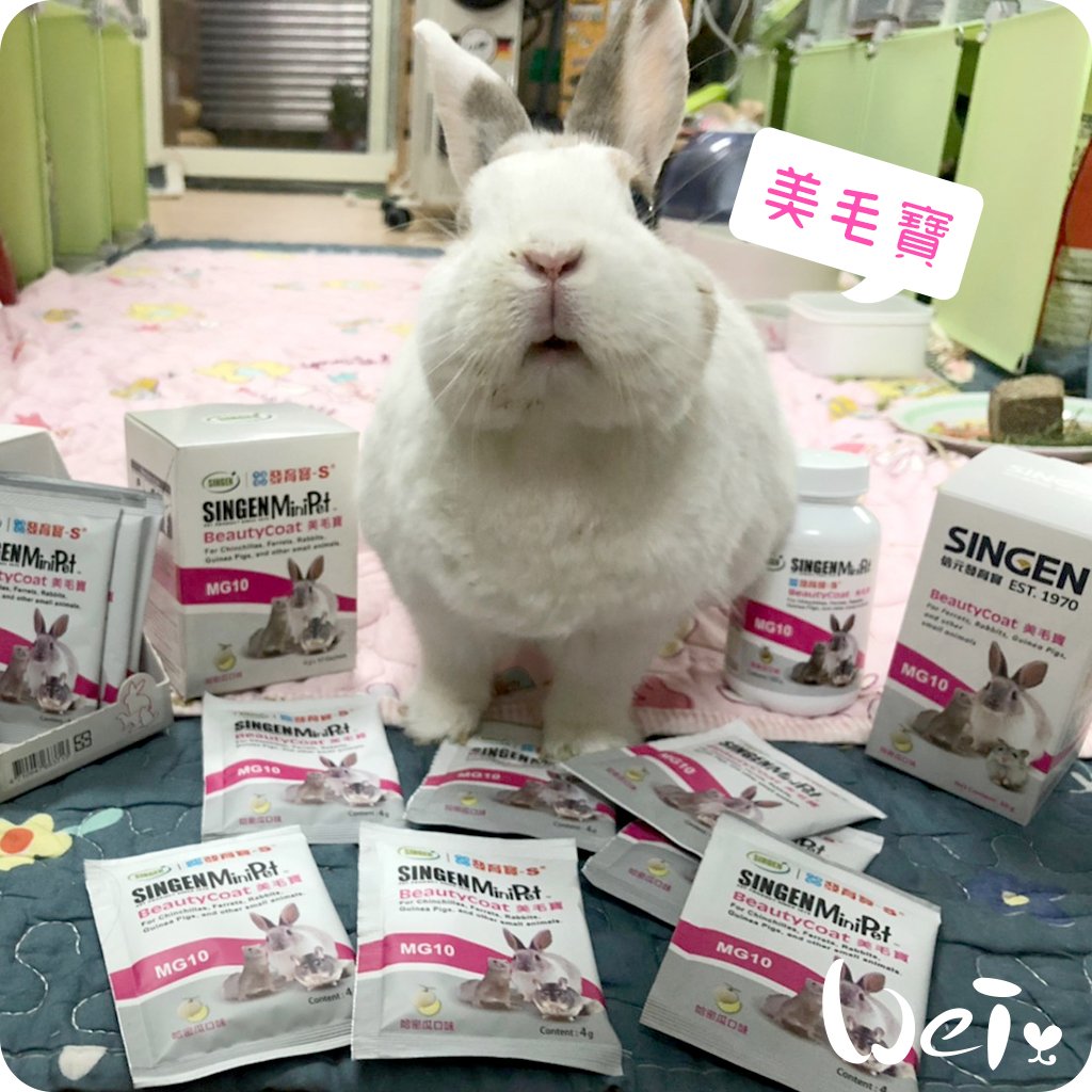 信元發育寶 小寵美毛寶