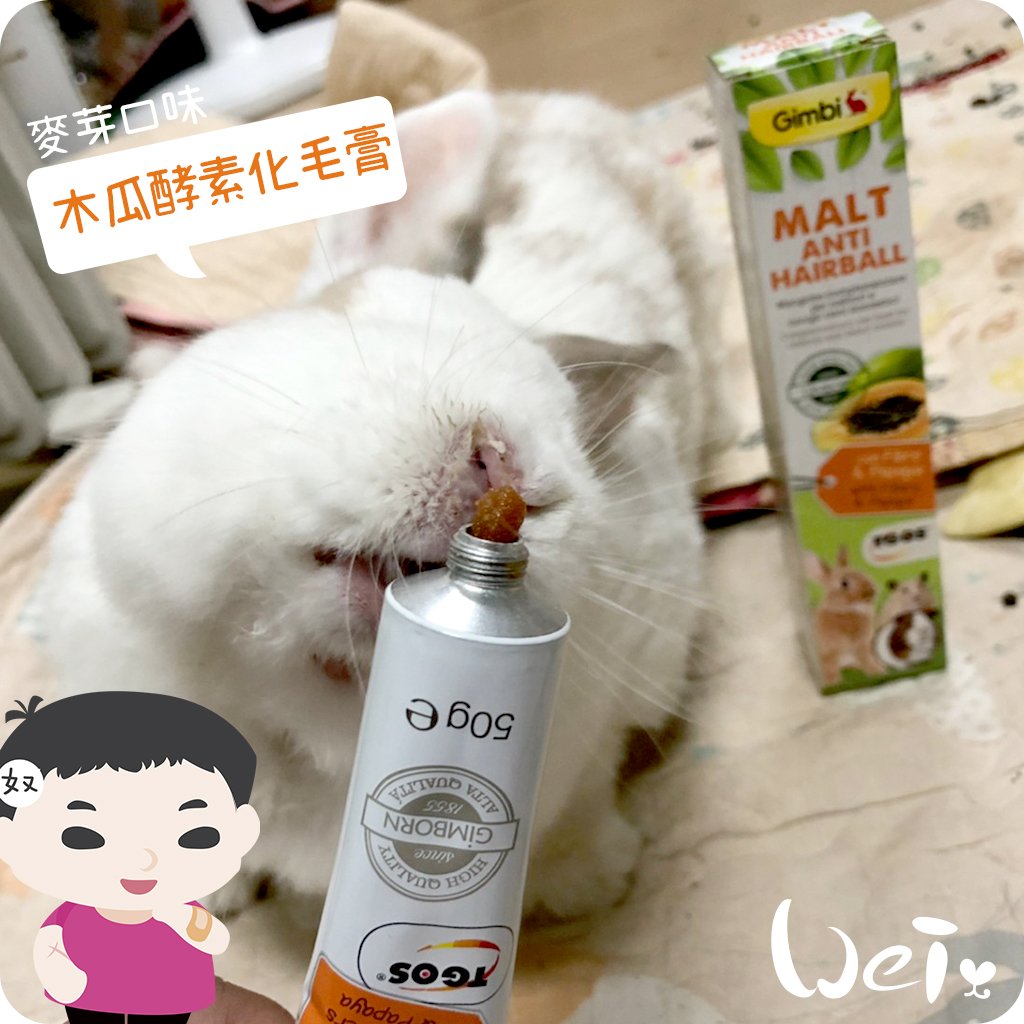 德國竣寶GIMBORN 兔用麥芽木瓜酵素化毛膏