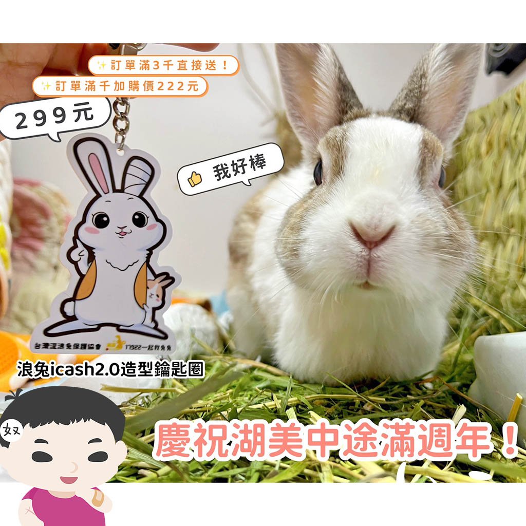 浪兔造型鑰匙圈 icash2.0卡