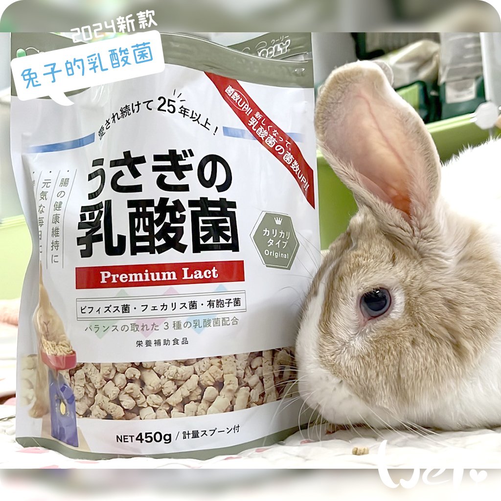 WOOLY 兔子的乳酸菌