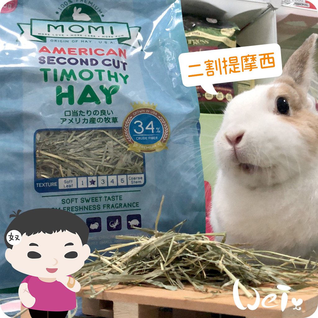 摩米MOMI T2 二割經典提摩西