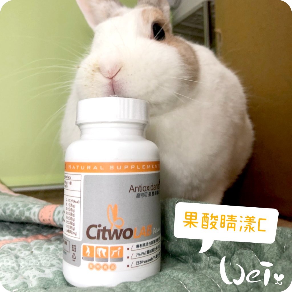 CI兔 Citwo LAB 果酸睛漾C