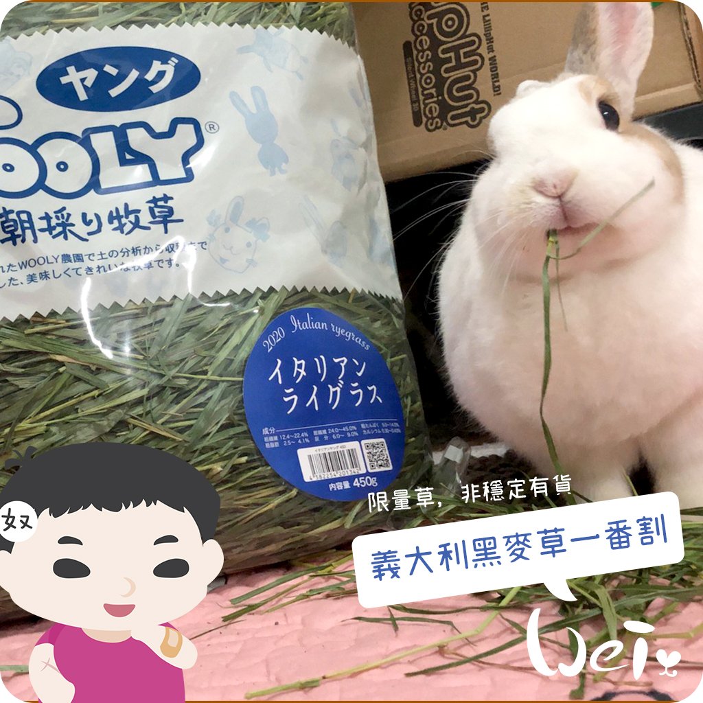 WOOLY高原的義大利黑麥草一割 (本次貨櫃未到)
