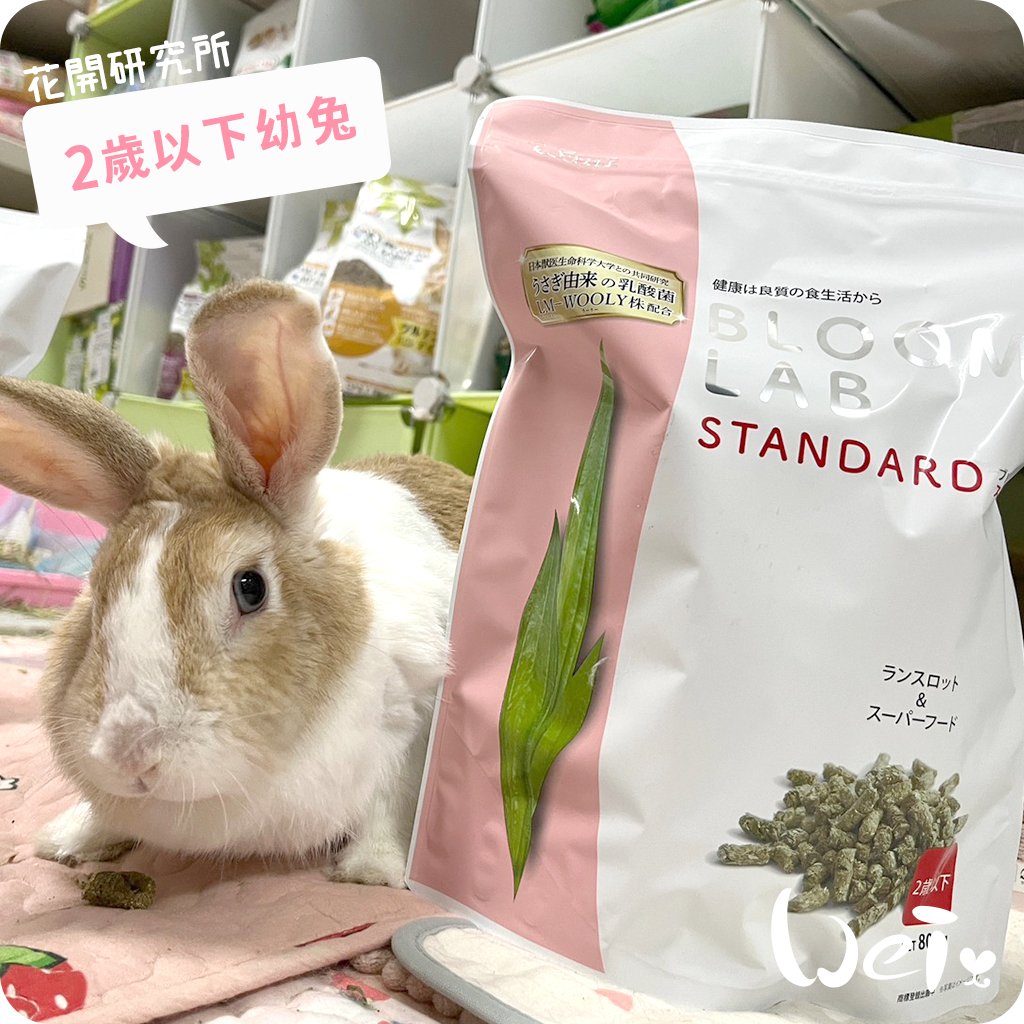 WOOLY花開研究所 2歲以下幼兔飼料