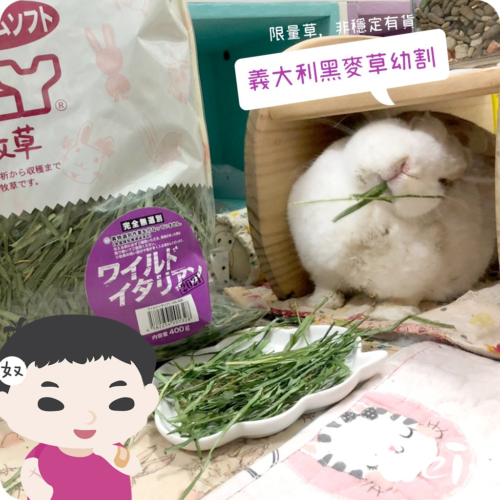 WOOLY高原的義大利黑麥草幼割