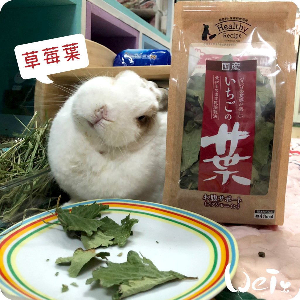 GEX健康食譜 草莓葉
