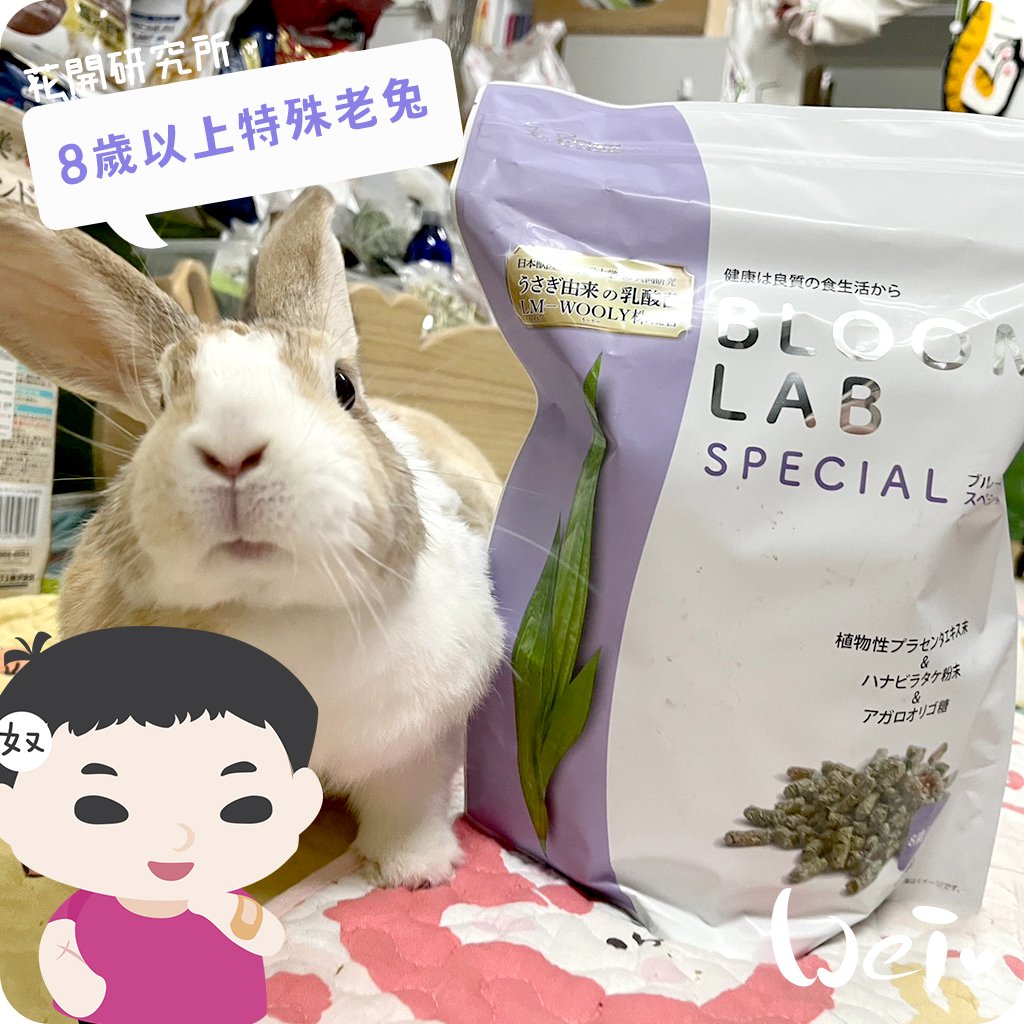 WOOLY花開研究所 8歲以上特殊老兔飼料