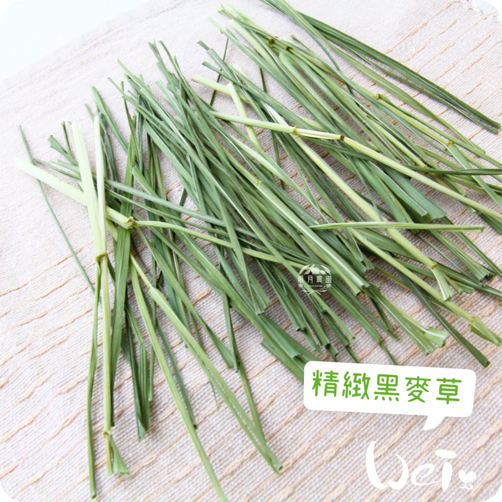 順月農園 精緻黑麥草 (乾燥草草)