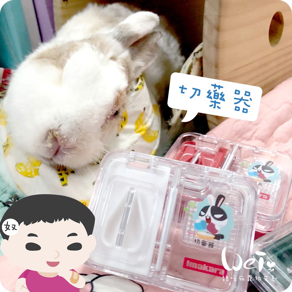 (高階版)日本Imakara多功能切藥磨粉盒(含清潔小毛刷)