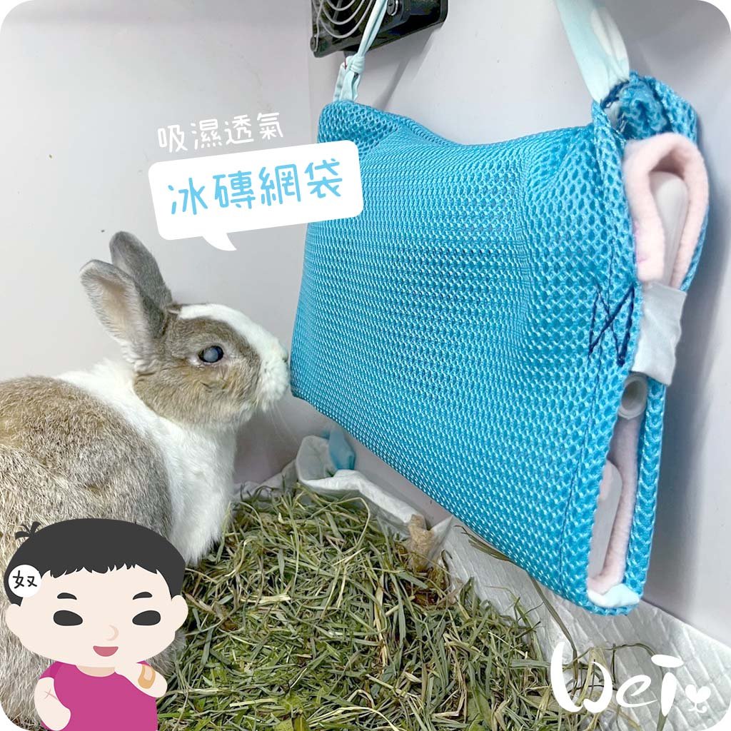 Dometic薄款長效冰磚CI-420G+手作吸濕透氣冰磚網袋