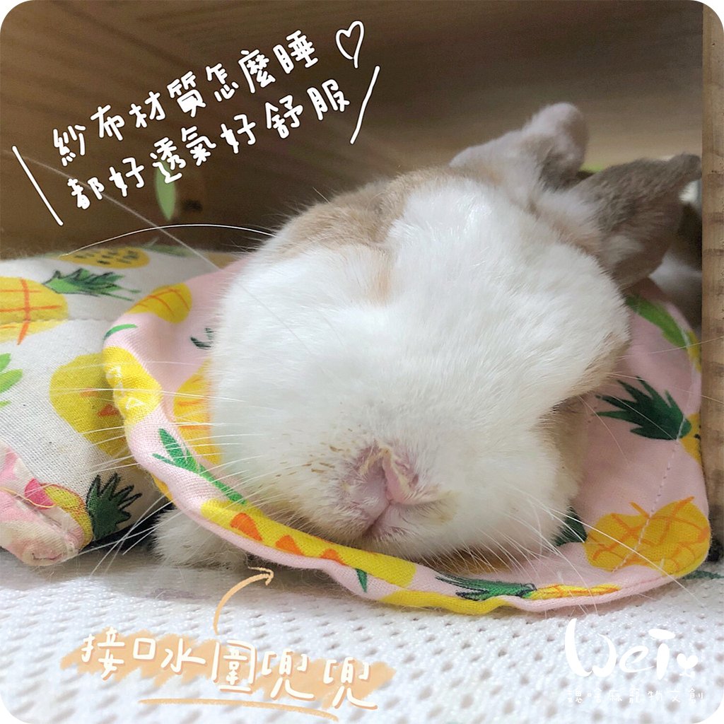 手作 - 寵物圍兜兜/紗布口水巾/軟頭套/老病照護灌食餵藥