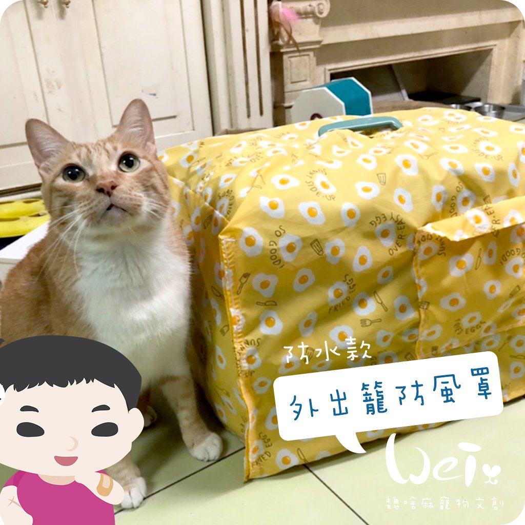 手作 - 外出籠套 防風罩 (防水款)