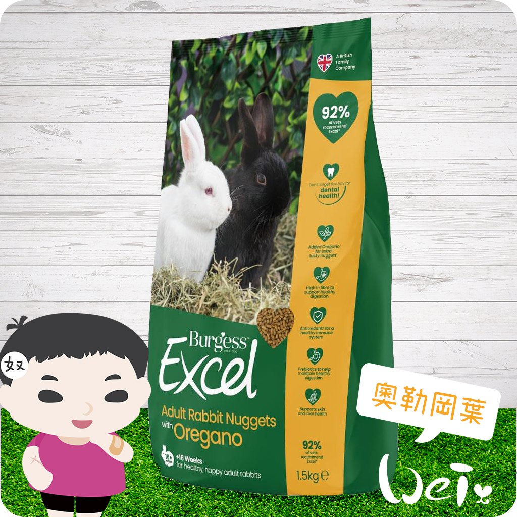 伯爵 Burgess Excel 成兔 奧勒岡葉