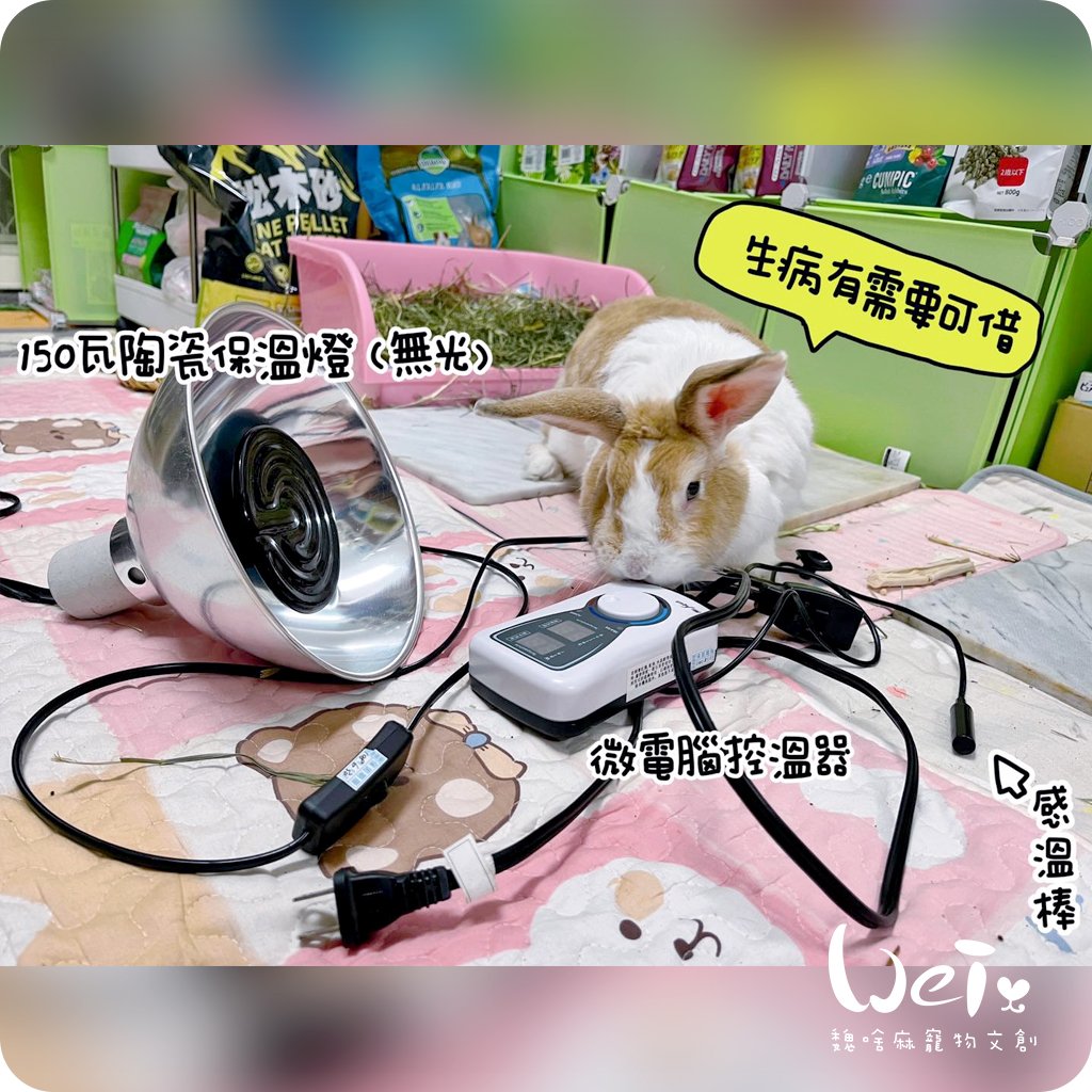 【新北租借】寵物陶瓷保溫燈+微電腦控溫器組合 說明 (老兔病兔、天竺鼠、幼犬幼貓刺蝟倉鼠)