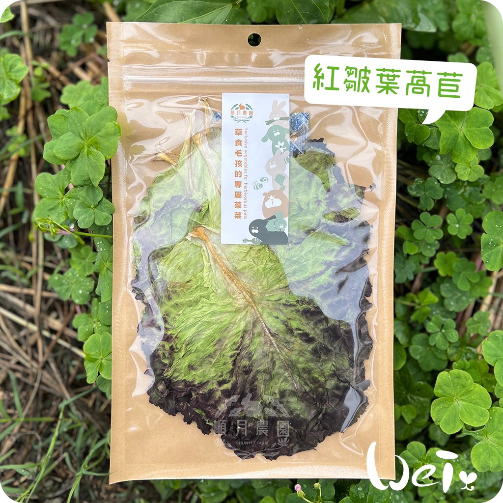 順月農園 紅皺葉萵苣/紅生菜(乾燥脆脆菜)