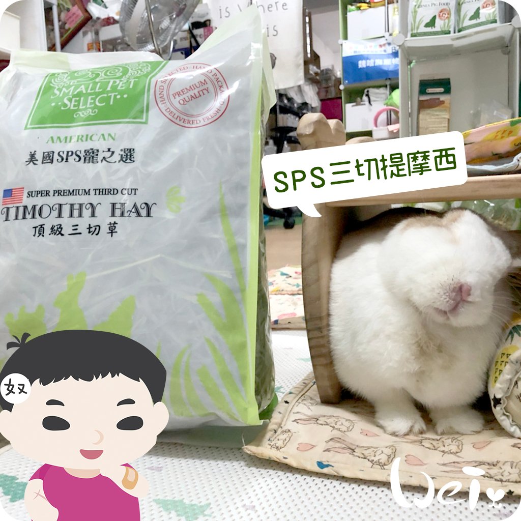 美國SPS寵之選 三切提摩西