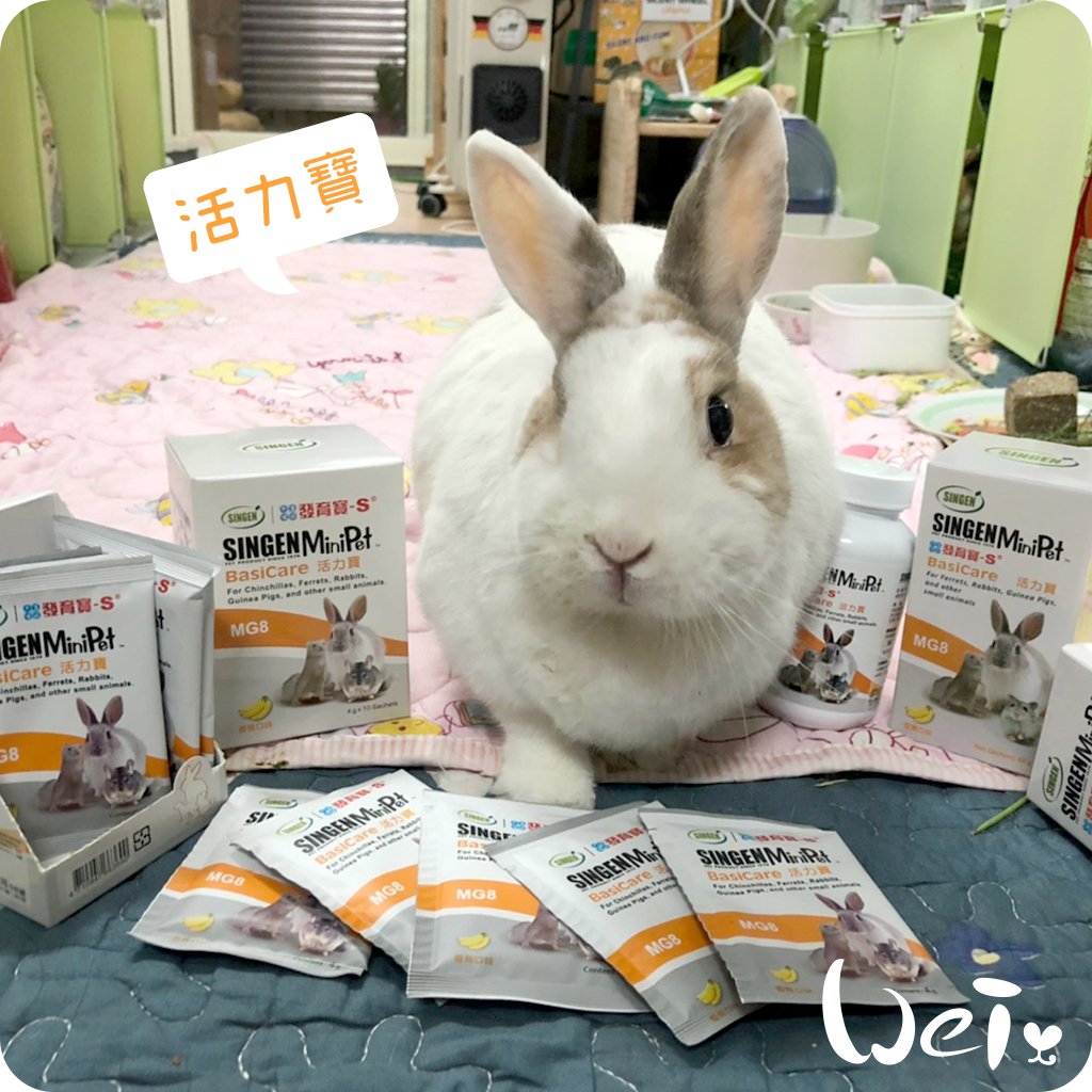 信元發育寶 小寵活力寶