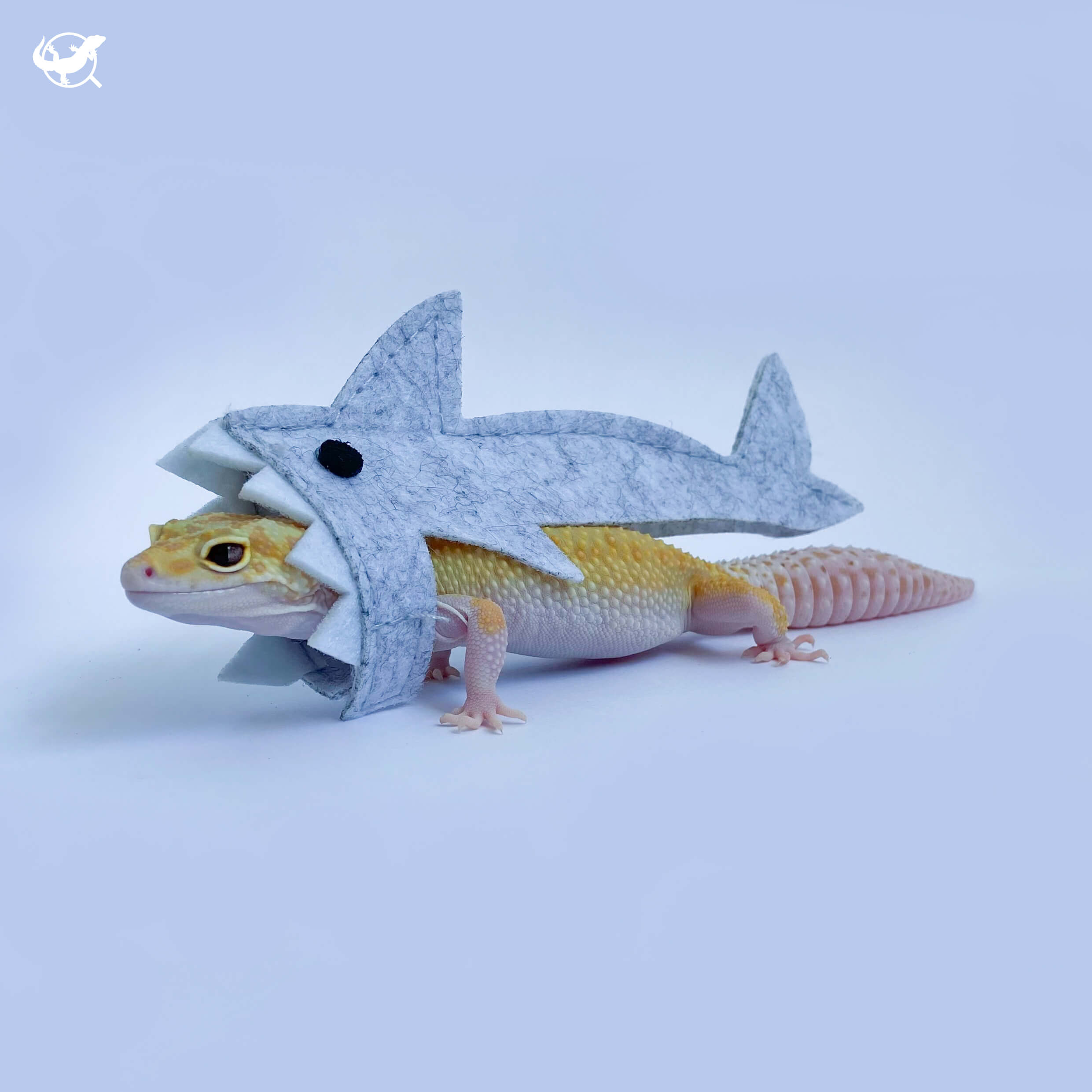 爬蟲鯊魚裝 爬蟲鯊魚裝