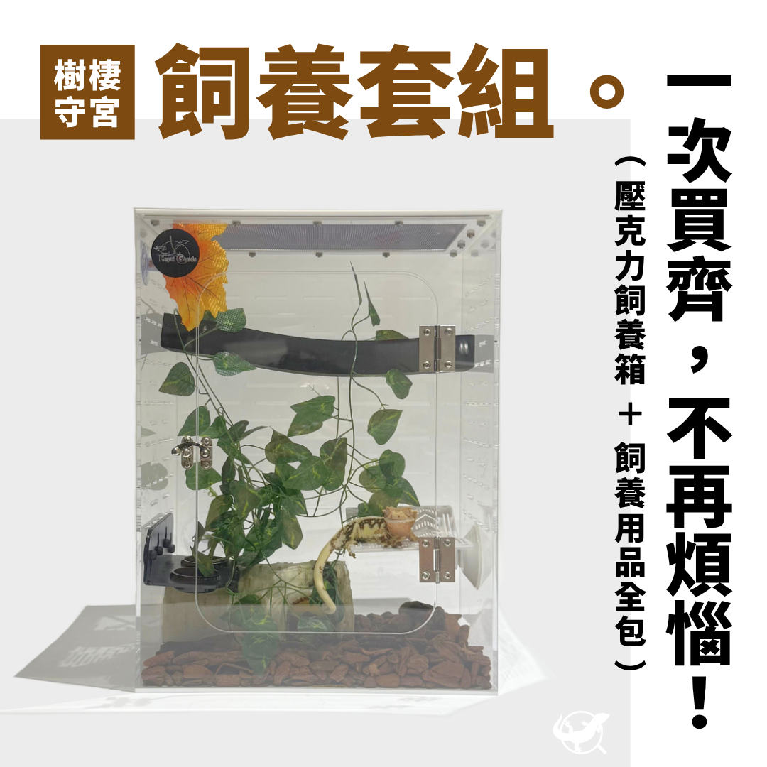 樹棲守宮飼養套組(睫角、蓋勾亞適用) 樹棲守宮飼養套組(睫角、蓋勾亞適用)