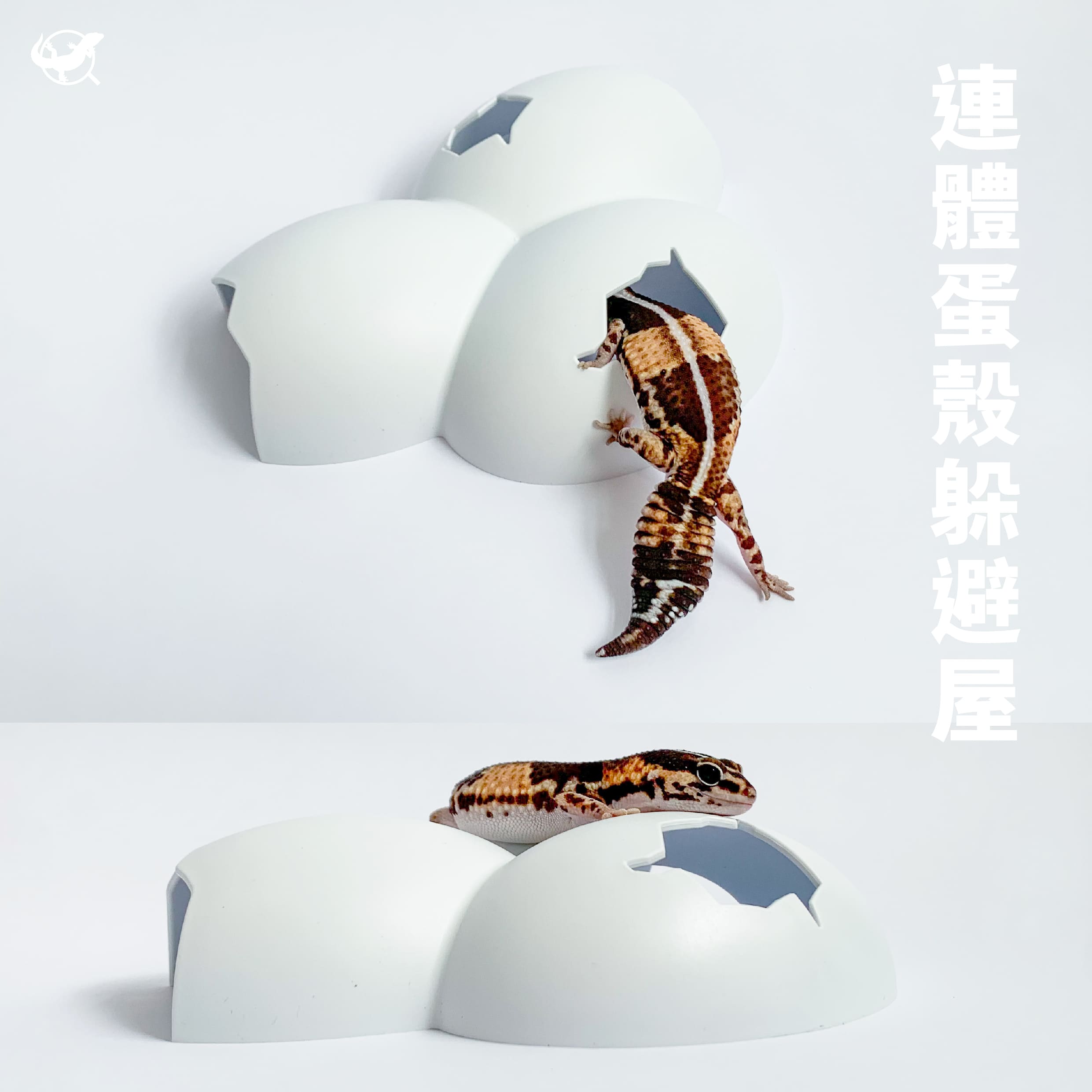 爬蟲連體蛋殼躲避屋
