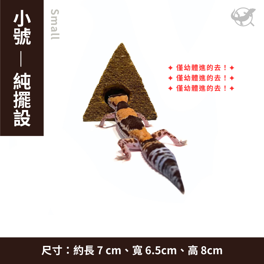 守宮金字塔躲避屋 / 擺設