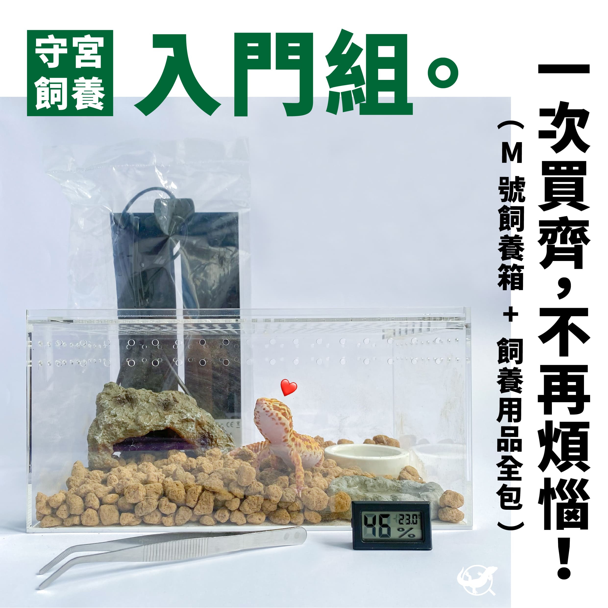 守宮飼養入門組 守宮飼養入門組