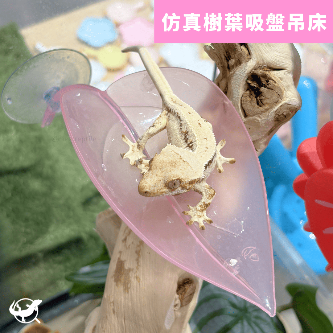 樹棲仿真樹葉吸盤吊床 樹棲仿真樹葉吸盤吊床