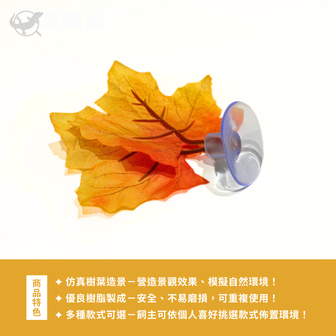 爬蟲樹棲仿真樹葉（單株）