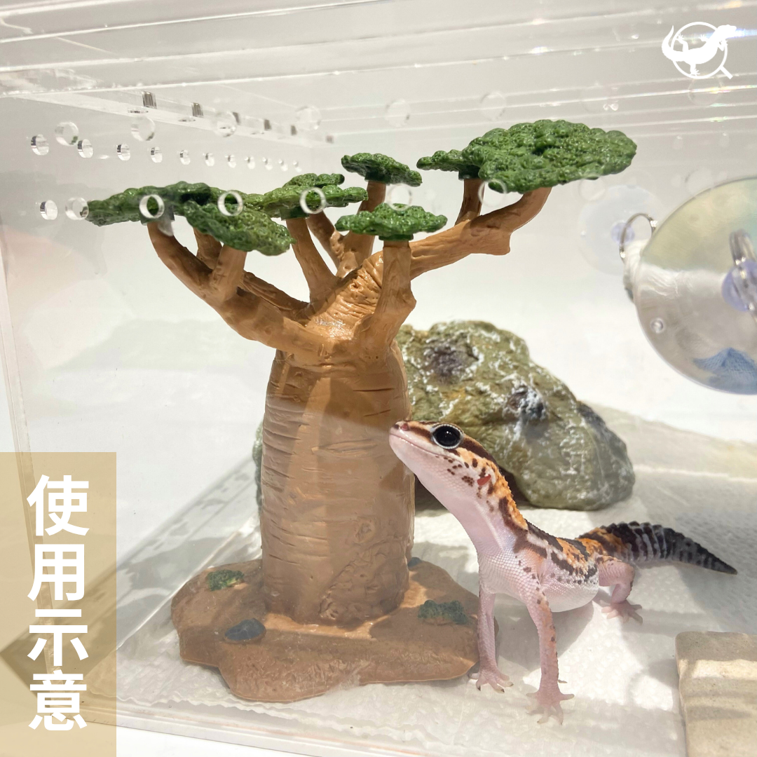 爬蟲小麵包樹擺設