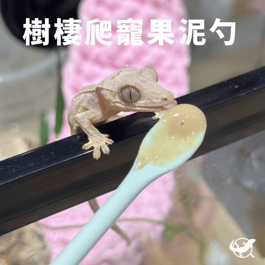 樹棲爬寵果泥勺 樹棲爬寵果泥勺