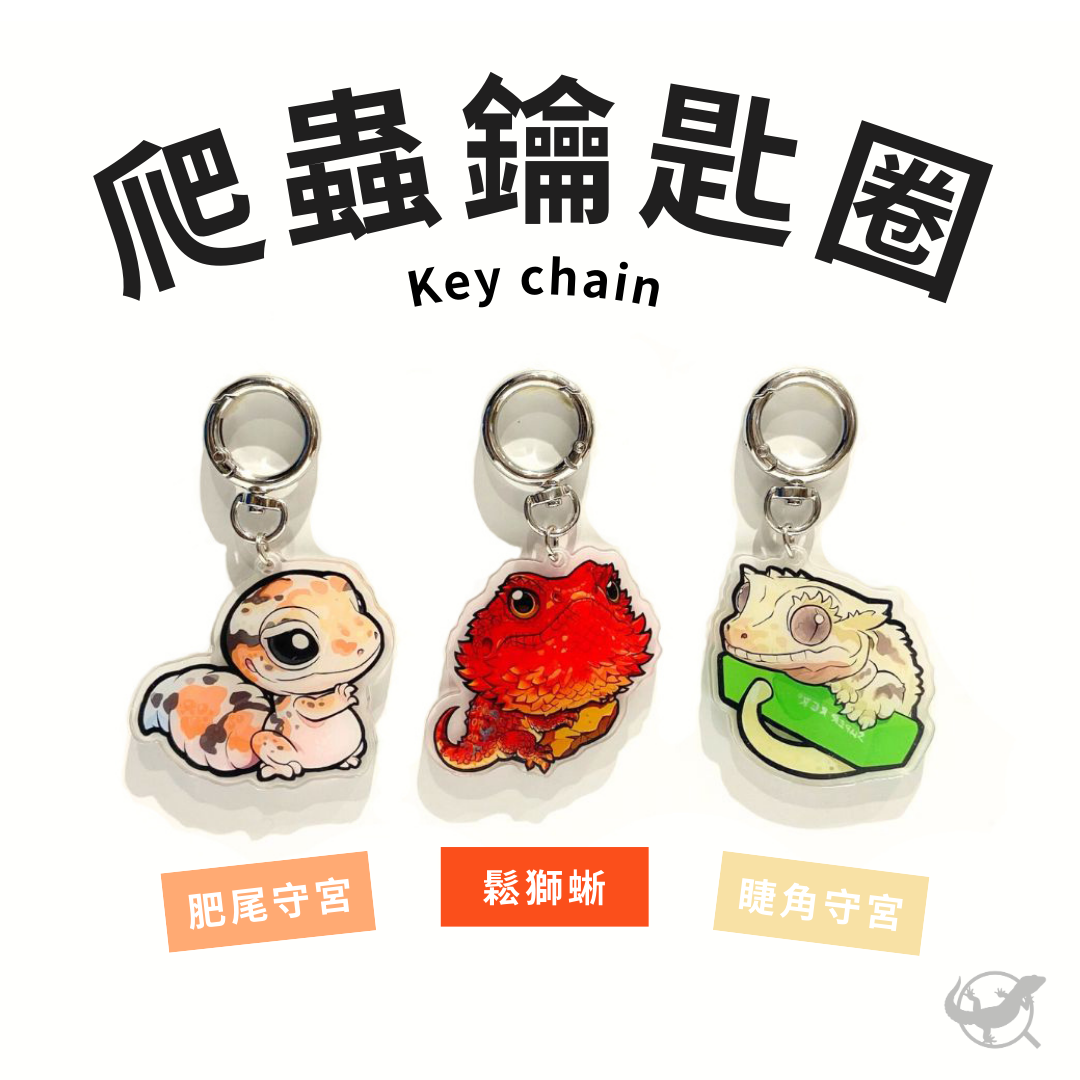 爬蟲壓克力鑰匙圈(守宮、鬆獅蜥) 爬蟲壓克力鑰匙圈(守宮、鬆獅蜥)