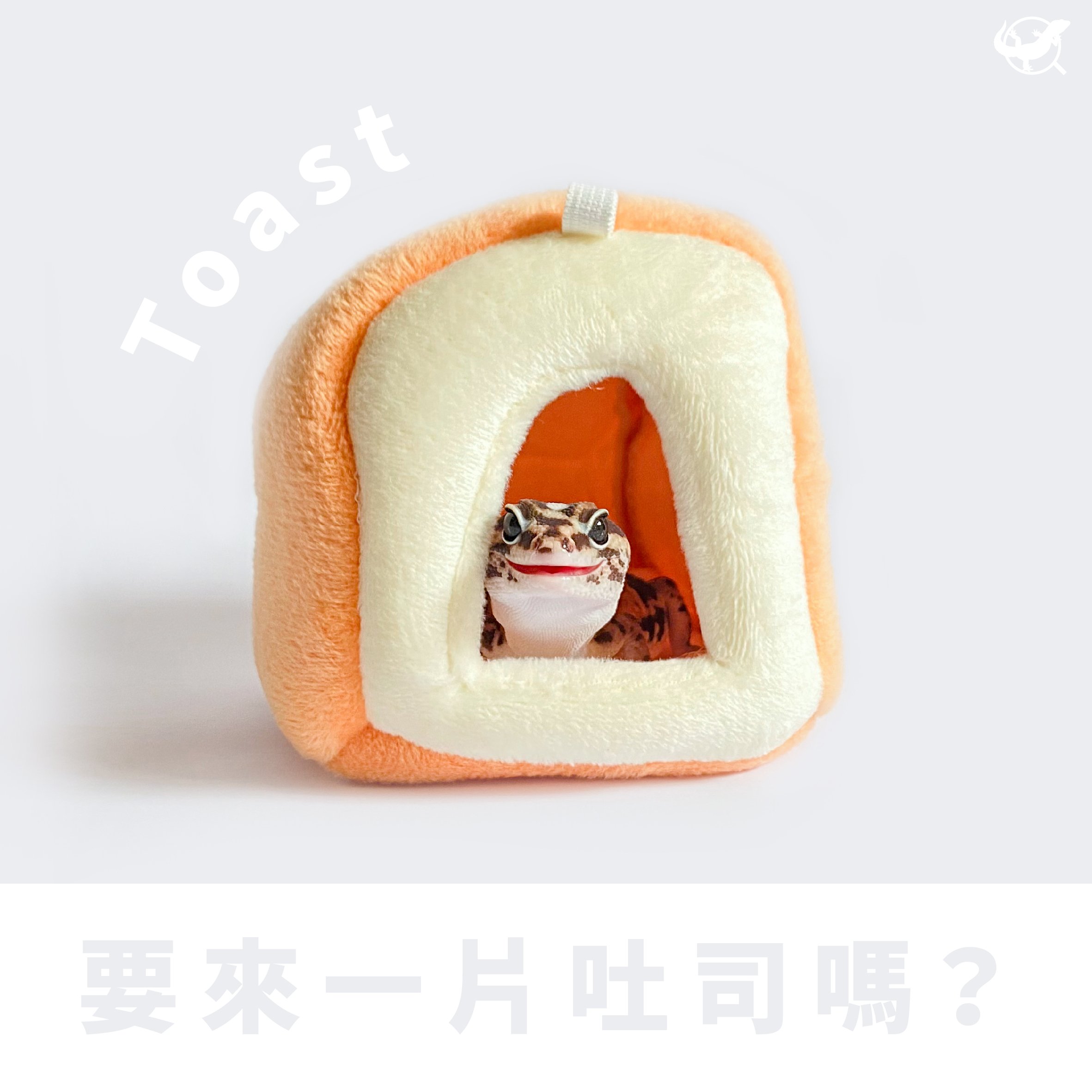 守宮吐司躲避屋