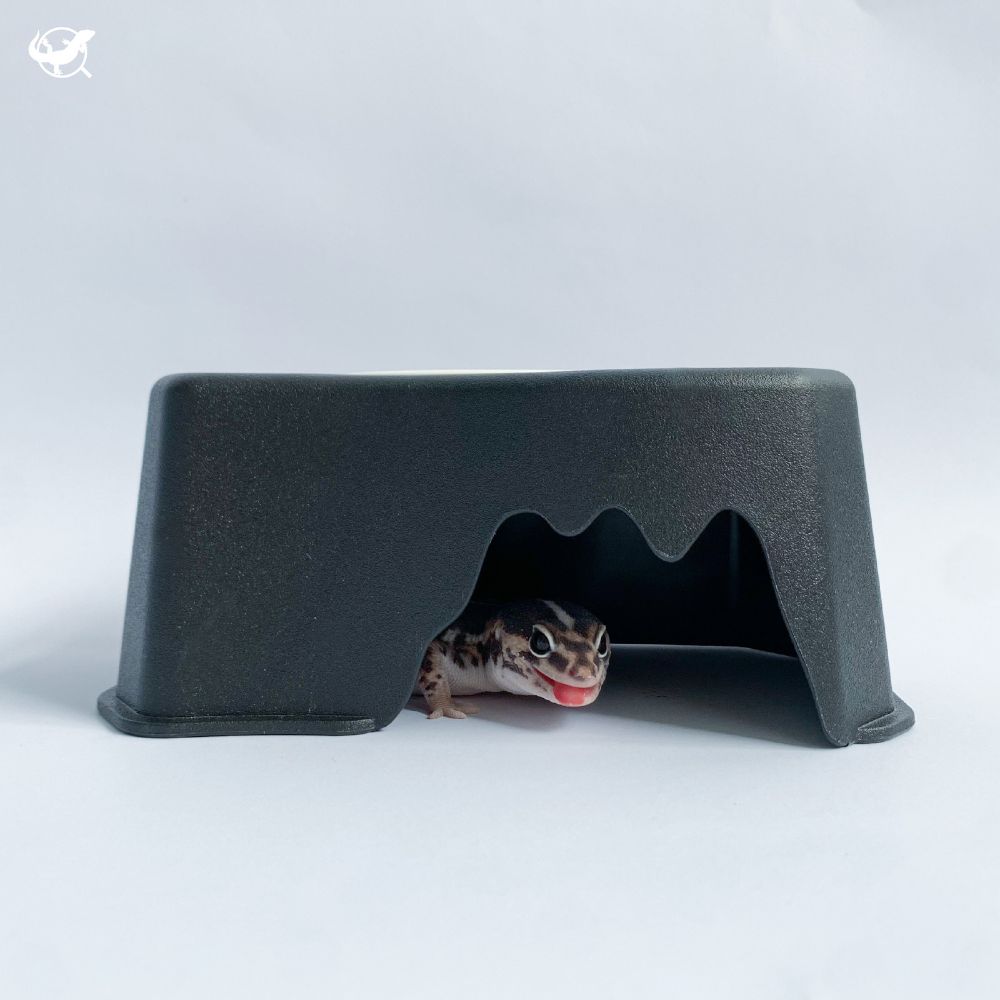 加濕躲避屋－首圖