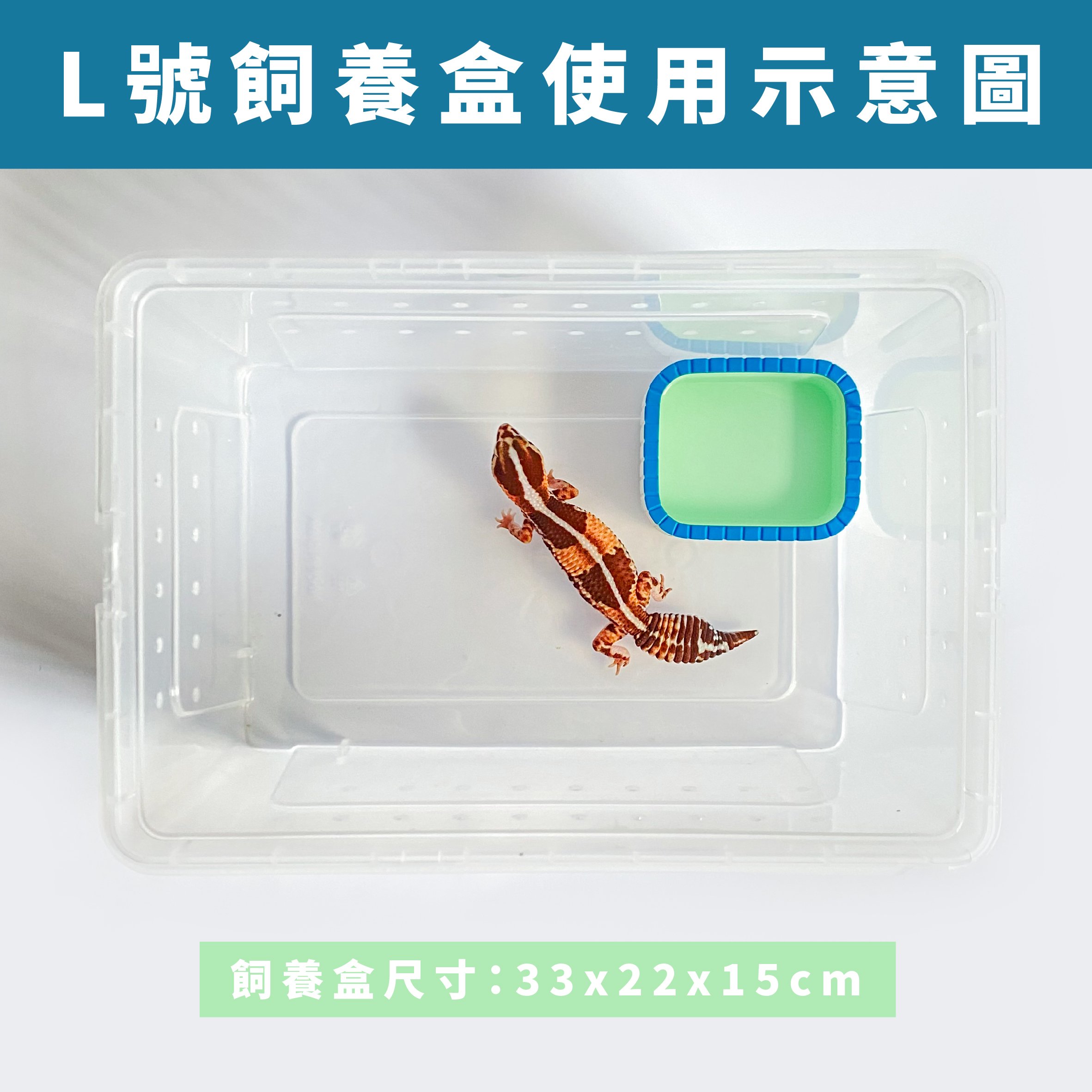 懷舊浴缸造型食水盆