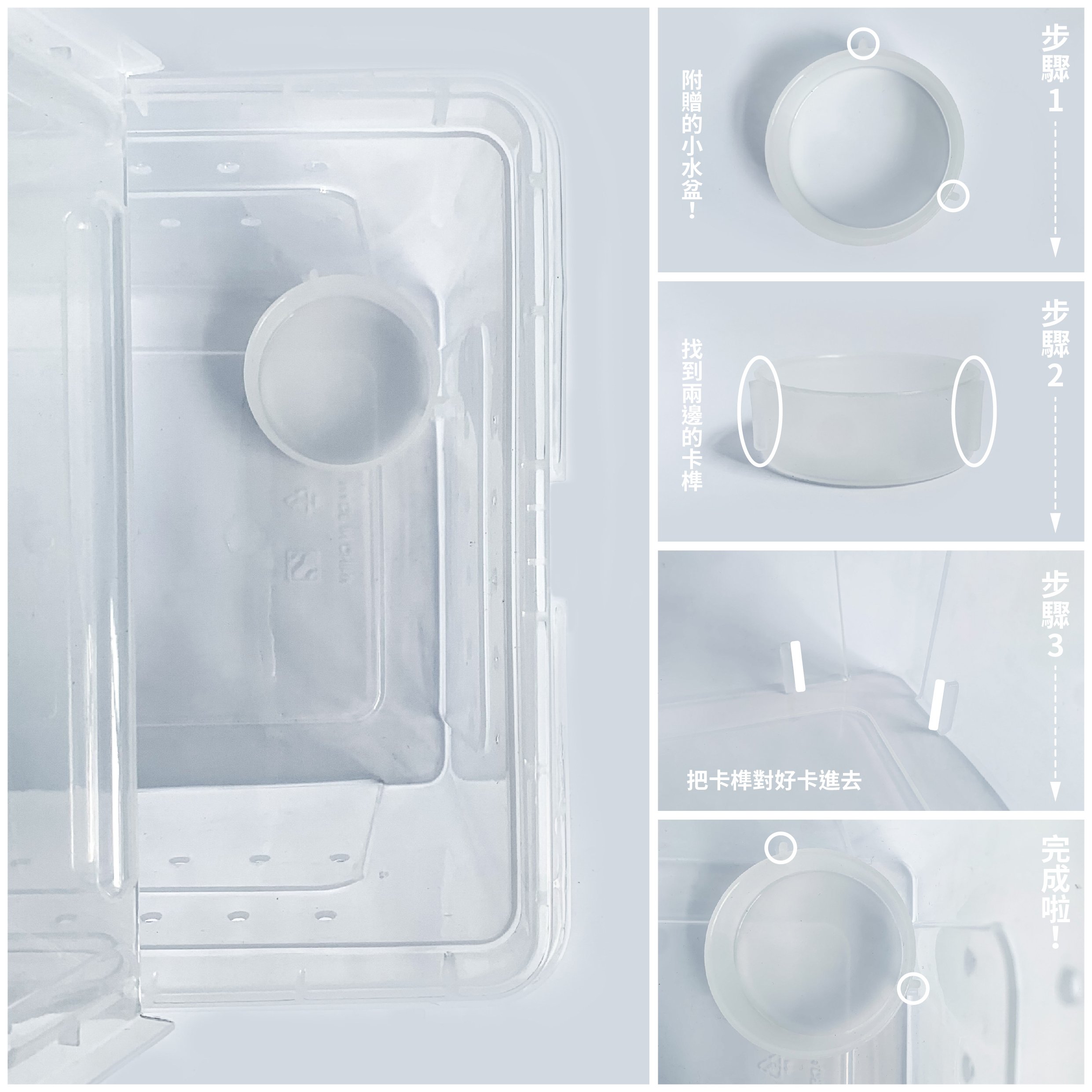 爬蟲飼養盒-圖文編排