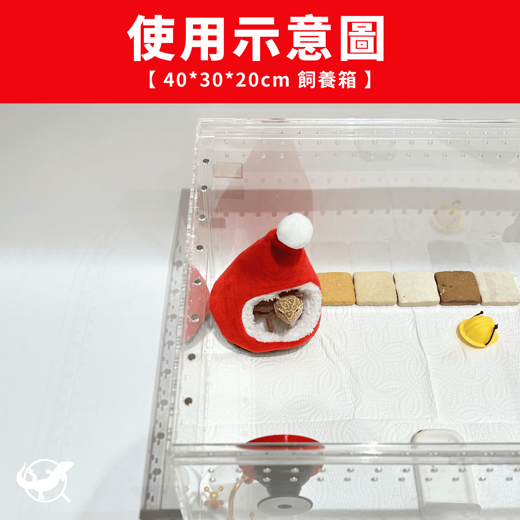 守宮聖誕帽躲避屋