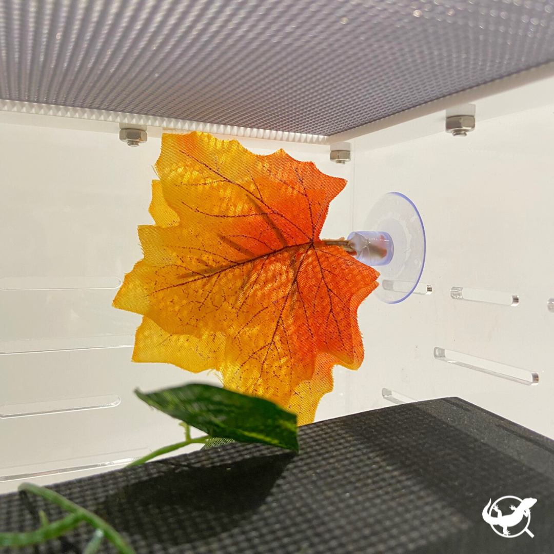 爬蟲樹棲仿真樹葉(單株) 爬蟲樹棲仿真樹葉(單株)