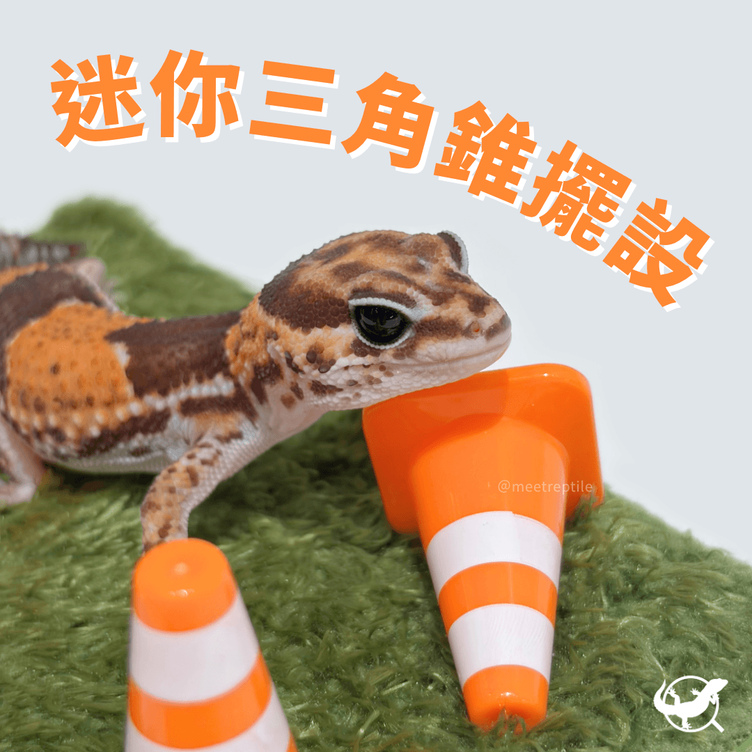 守宮迷你三角錐擺設 守宮迷你三角錐擺設