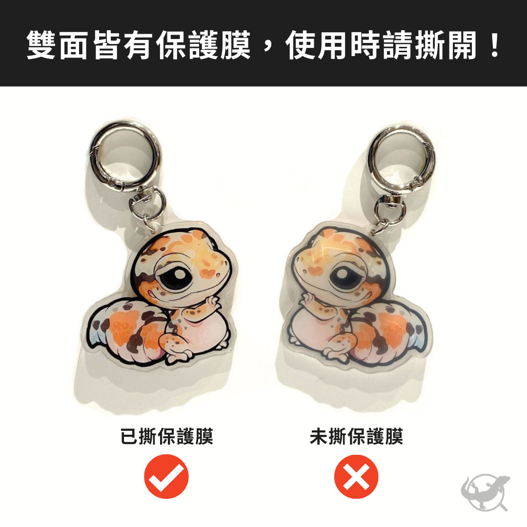 爬蟲壓克力鑰匙圈（守宮、鬆獅蜥）
